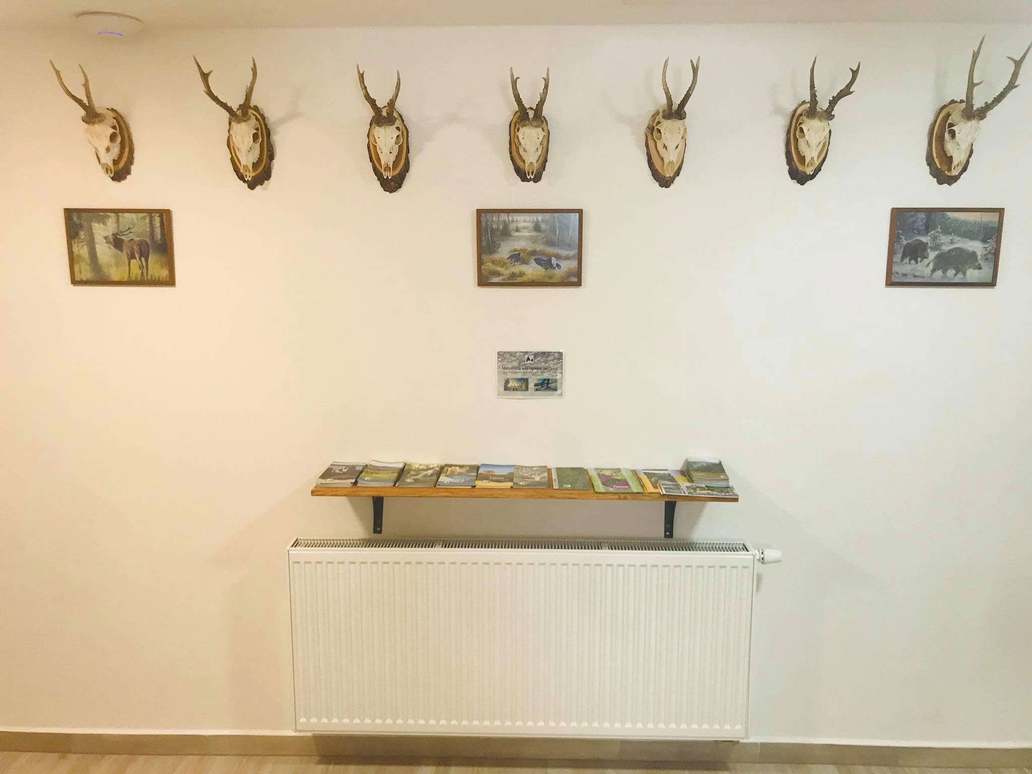 Chalupa nad Modravou — fotografie 7