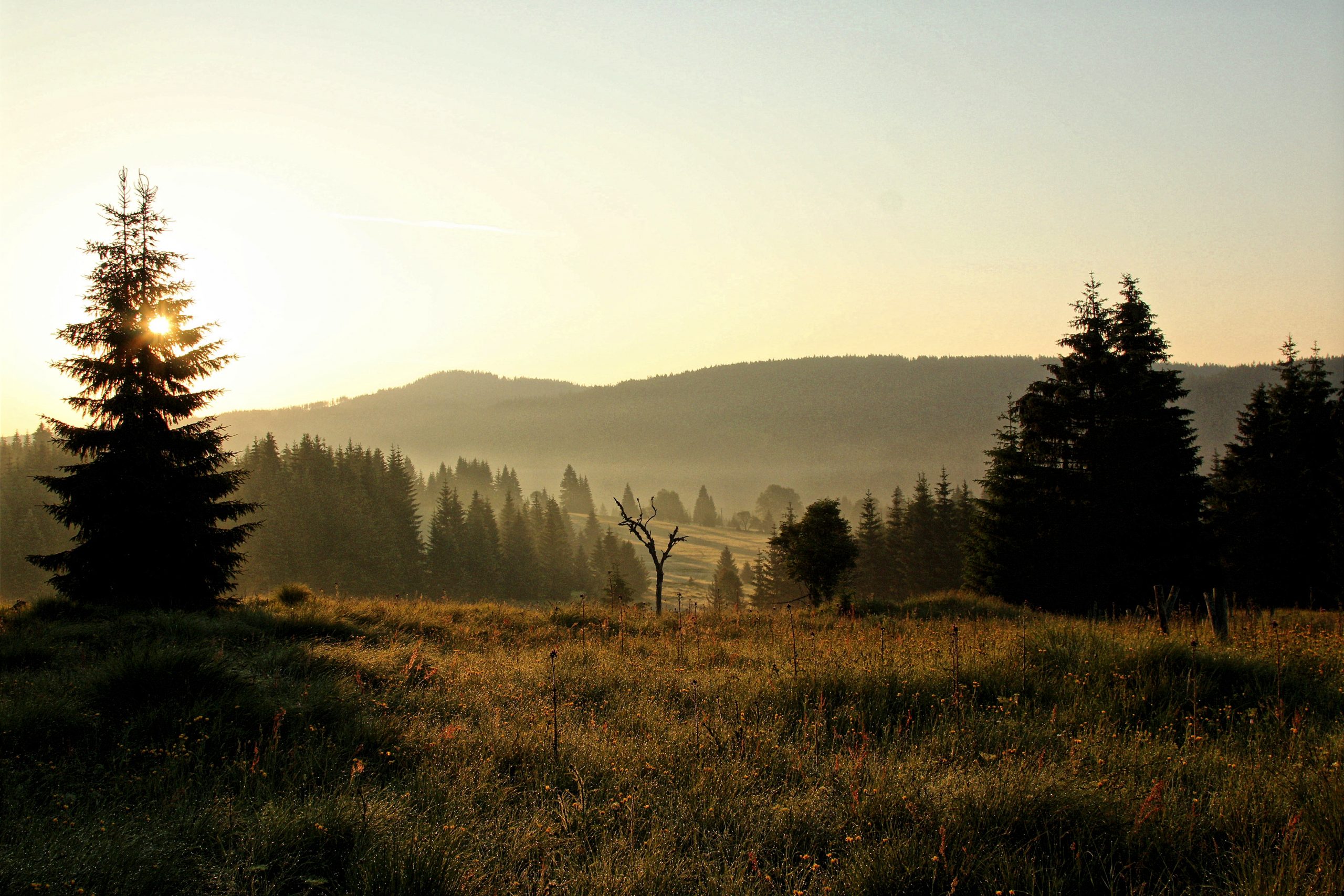 Okolí Filipovy Hutě na Šumavě — fotografie 43